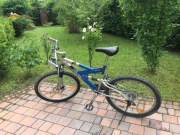 Rower górski HORIZON 