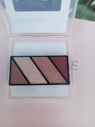 Mary Kay Zestaw 4 Cieni do Powiek błyszczące