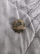 Korpusówka czołgisty P6 