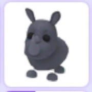 Rhino | Roblox | Adopt me |