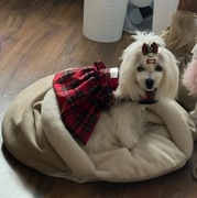 Legowisko norka HauCute