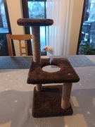 Mini Wspinaczka/Drapak dla Kociąt do 3 Miesięcy lub 3kg.