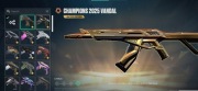 [EU] KONTO VALORANT 140K VP | 115 skinów 11 noży | Champ 2025 + ORA + VCT25
