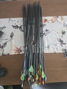 Mega zestaw łuczniczy! 27x Skylon Savage 350 + DUŻO grotów + KOŁCZAN