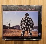 Pink Floyd Delicate Sound of Thunder USA