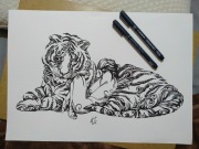  Rysunek: ona i tygrys, cienk - blok t. A3 250 g/m