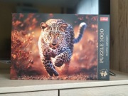 Puzzle 1000 Dziki Leopard 68x48 