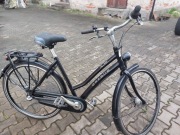 Rower Gazelle Xanta