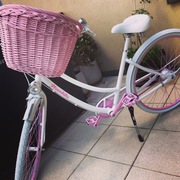 Rower plum bike donatella 2018