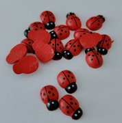 Biedronki drewniane 9x13 mm ozdobne dekoracyjne 19 sztuk