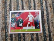 Naklejki DUMNI Z NASZYCH Paninini 46