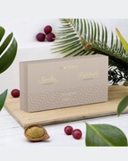 Nutrivi Synbio Complex&Triphala Booster zdrowe jelita