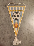 Proporczyk Igloopol Dębica