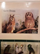 Gwinea Bissau 2001  Mi bl 322  ptaki idealna  pozycja