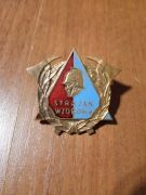 Kolekcja Odznak OSP: Strażak wzorowy + Wysługa XXX lat - Mennica