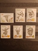 Rok 1981. Fi 2602-2607**