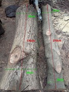 Drewno Orzecha Włoskiego