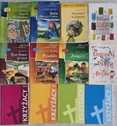 Lektury szkola podstawowa SPÓSOB  NA ARCYBIADESA , ANIA Z ZIELONEGO ...