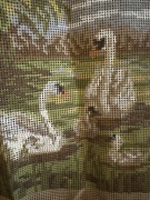 Kanwa z nadrukiem łabędzie, do wyszywania 25x25,5 cm