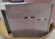 Sokół Marysia Starosta - Czarna Biała Magia