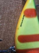 Salmo Poland Slider 10