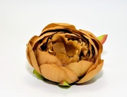 Ekskluzywna Główka Piwonii –Złoty brąz– Premium DIY