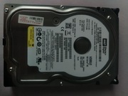 Dysk Western Digital wd800JD 80 GB 
