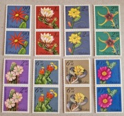 Fi: 2636 - 2643** parki pionowe. Kwiaty sukulentów - kaktusy.