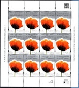 Ark. 12x 4528 70. rocznica bitwy pod Monte Cassino (nieskładany arkusz)