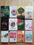 12x ZESTAW KSIĄŻKI DLA KOBIET, LITERATURA OBYCZAJOWA