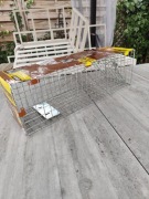 Żywołapka humanitarna na łasice kuny szczury 