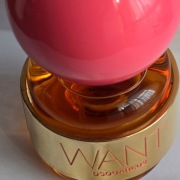 DSQUARED2 WANT PINK GINGER 100ML EDP