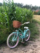 Rower Plumbike La Donna Mia