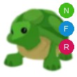 Turtle Adopt Me AM