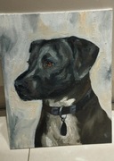 Obraz psa - olej na płótnie 