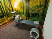 APARAT DO TERAPII POLEM MAGNETYCZNYM  PHYSIOMG 815-ASTAR 