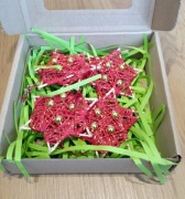 Ozdoby świąteczne w ozdobnym pudełku 