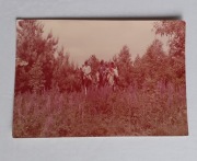 ZDJĘCIE POCZTÓWKA  SPACER KONNY 1977 r