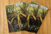 Autorski Kalendarz 2026, Duży Format A3, Spirala, 13 kart, Druk Premium