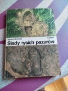 Ślady rysich pazurów 