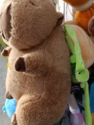 KAPIBARA z  Zołwikiem średnia 