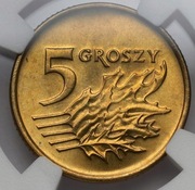 5 groszy 1993 - NGC MS66