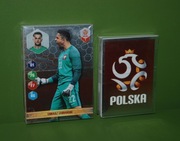 Panini Dumni z naszych (Biedronka) - zestaw 103 naklejki/karty