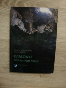 Kamionki. Powrót pod ziemię Krzysztof Krzyżanowski