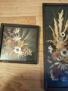 Dwa obrazy w ramie, za szkłem kompozycje suszonych roślin z Katowice