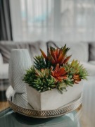 sukulent ozdoba szruczna doniczka kwiaty prezent