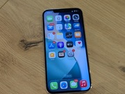 iPhone 12 Pro Max 128GB srebrny