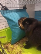 Paśnik z materiałów impregnowanych