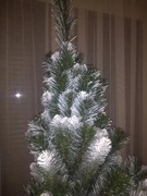 Nowa choinka 180 Erbis sosna alpejska malowana