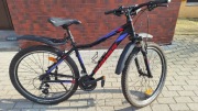 Rower Kross Lea 2.0